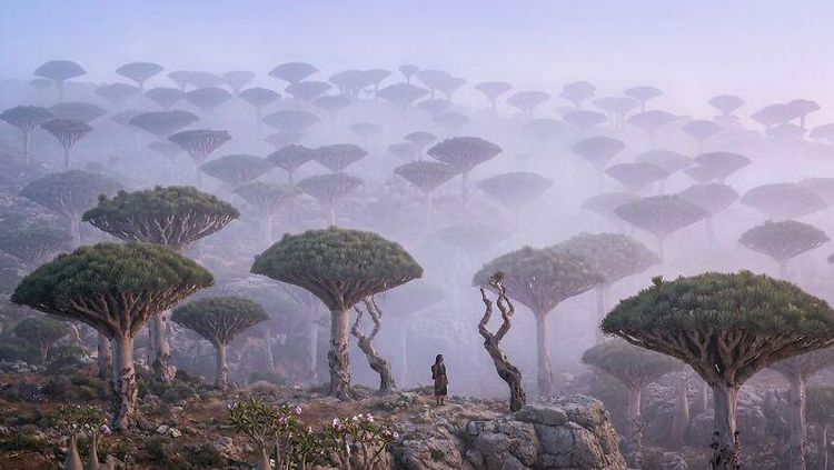 15 Foto yang Bikin Kamu Ngira Ini Planet Lain, Padahal Masih di Bumi