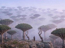 15 Foto yang Bikin Kamu Ngira Ini Planet Lain, Padahal Masih di Bumi