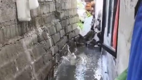 Air menggenangi rumah warga akibat saluran drainase jebol di Banjar Tuka, Desa Dalung, Kuta Utara, Badung, Bali, Sabtu (9/5/2026). (Foto: Agus Eka/detikBali)