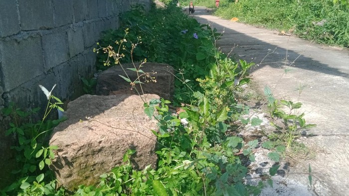 Batu kotak bertakik diduga komponen candi di dekat batu chattra Karanganom, Klaten.