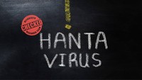 Viral Pasien Hantavirus di RSHS Meninggal, Ini Faktanya