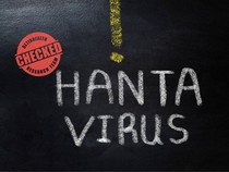 Penumpang Kapal Pesiar Lokasi Hantavirus Merebak Bakal Pulang ke Negara Asal