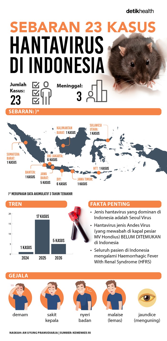 Sebaran 23 Kasus Hantavirus di Indonesia