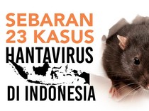 Infografis: 23 Kasus Hantavirus di Indonesia, Sebaran dan Gejalanya