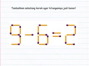 Tes Kemampuan Matematika dan Logika Cukup Pakai Korek Api, Bisa Selesaikan?