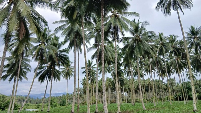 Julukan Sulawesi Utara