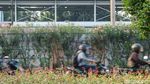 Bunga Oleander Bermekaran, Jalur Pedestrian Bekasi Timur Makin Cantik