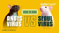 Infografis: Andes Virus Vs Seoul Virus, Hantavirus Paling Banyak Disebut Saat Ini