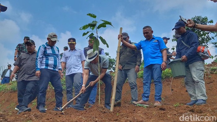 Penanaman pohon di Kabupaten Bandung