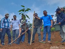 Menteri LH Jumhur Minta Gerakan Tanam Pohon Digencarkan