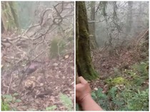 Pendaki Lansia Hilang di Gunung Batukaru Ditemukan Meninggal di Dasar Jurang