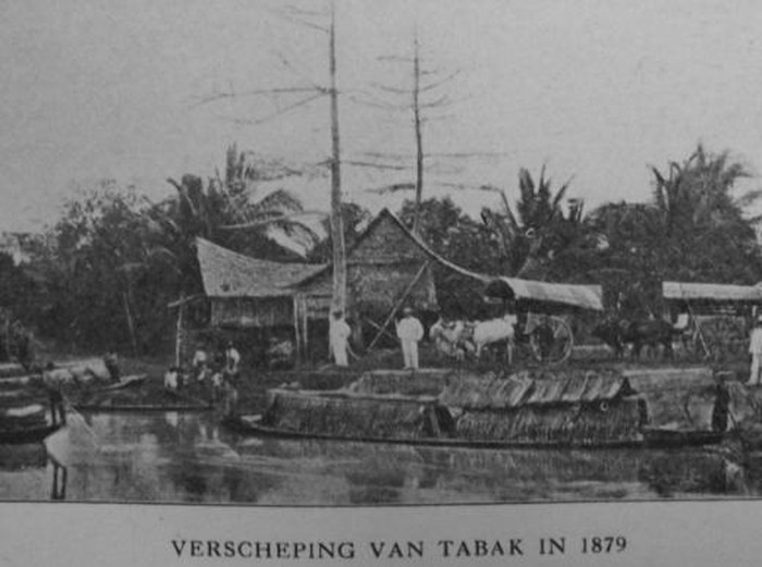 (Pengangkutan Tembakau di Sungai Deli, 1879. Foto: dok. kitlv.nl)