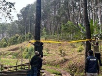 Bebal Pengusaha di Bone Babat 1,3 Hektare Hutan Meski Berulang Kali Ditegur