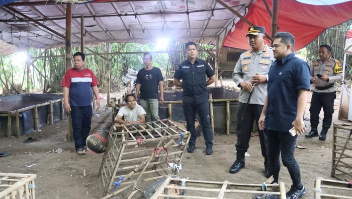 Polisi gerebek sabung ayam di Tangerang (dok istimewa)
