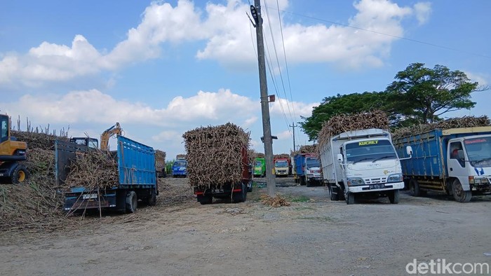 Antrean truk tebu mengular di bahu jalan Todanan, Blora, Senin (11/5/2026).