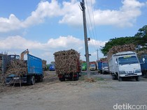 Bongkar Muat Truk Tebu di Jalan Todanan Blora Dikomplain Warga