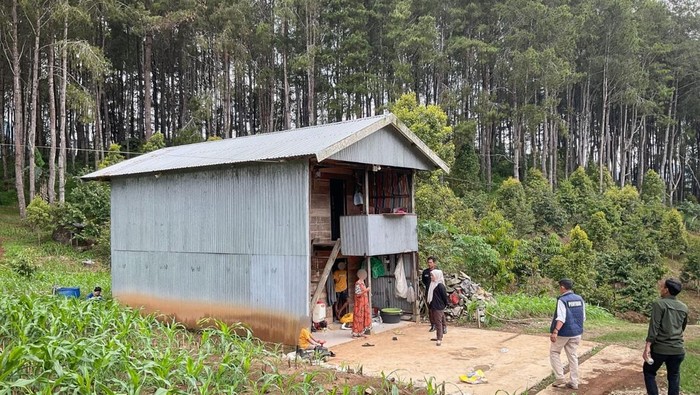 Balai Gakkum Kehutanan Wilayah Sulawesi menindak pengusaha yang membabat hutan menjadi peternakan dan perkebunan.
