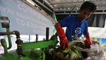 Begini Sampah Sayur Diubah Jadi Pupuk Organik