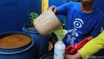 Begini Sampah Sayur Diubah Jadi Pupuk Organik