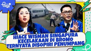 Video: Hiace Wisman Singapura Kecelakaan di Bromo Ternyata Disopiri Penumpang