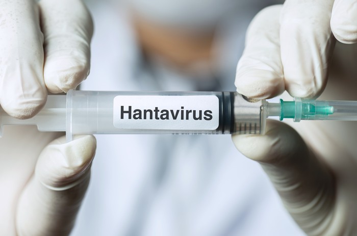 IDAI Minta Masyarakat Tak Cemas soal Hantavirus, Difteri dan Campak Dinilai Lebih Mendesak