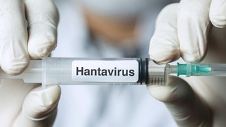 Ramalan Mengerikan Ledakan Populasi Tikus Pembawa Virus Mematikan