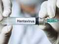 WHO Ingatkan Gejala Awal terkait Hantavirus yang Mewabah di Kapal MV Hondius