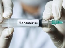 WHO Ingatkan Gejala Awal terkait Hantavirus yang Mewabah di Kapal MV Hondius