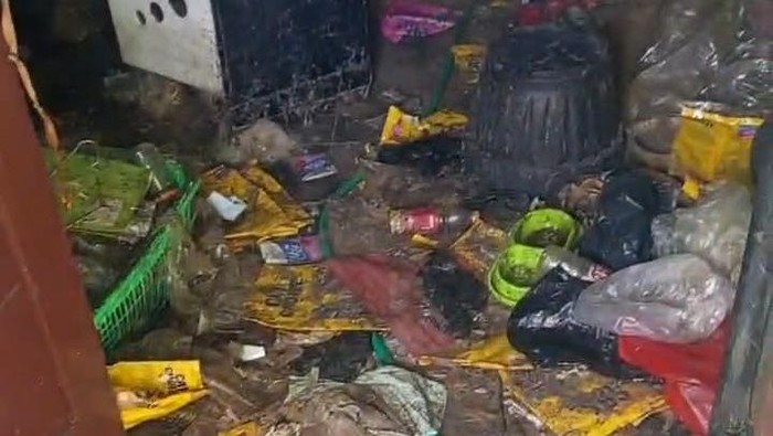 Kontrakan penuh sampah dan bangkai kucing di Bekasi.