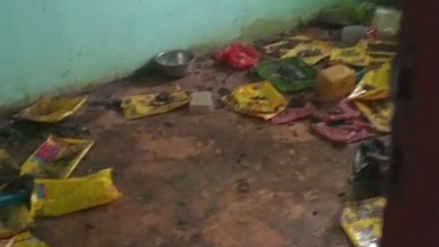 Kontrakan penuh sampah dan bangkai kucing di Bekasi.