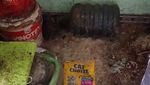 Separah Ini Kondisi Kontrakan yang Ditinggal Penyewa, Banyak Bangkai Kucing