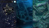 Viral Penampakan 'Alien' di Bali, Faktanya Bikin Geleng Kepala