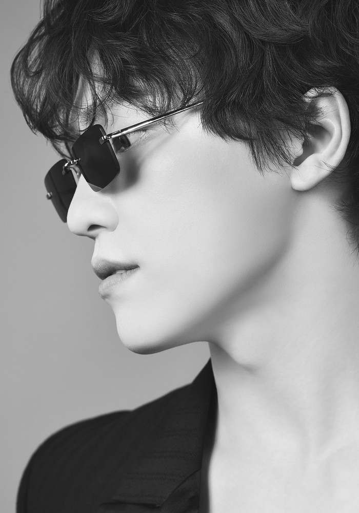 Alter-ego Dino SEVENTEEN, Picheolin.
