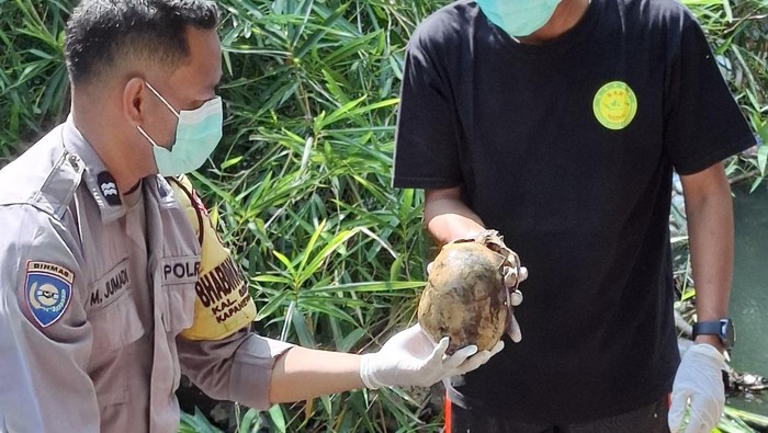 Tengkorak manusia ditemukan saat evakuasi mayat misterius di Sungai Bedog Bantul, Senin (11/5/2026).