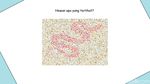 Kalau Tidak Buta Warna, Pasti Mudah Tebak Hewan yang Sembunyi di Pola Random Ini