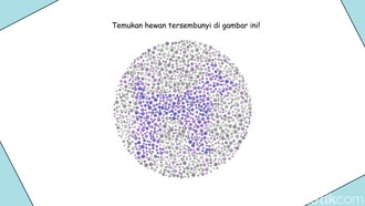 Kalau Tidak Buta Warna, Pasti Mudah Tebak Hewan yang 'Sembunyi' di Pola Random Ini