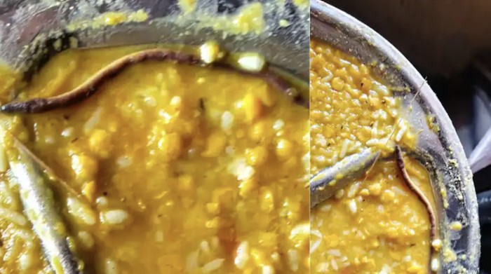 Heboh! Temuan Anak Ular di Makanan Sekolah, 150 Siswa Jatuh Sakit