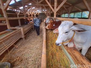 Jelang Idul Adha, Jalur Masuk Hewan Ternak Diperketat di Nagreg