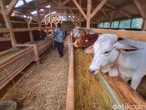 Jelang Idul Adha, Jalur Masuk Hewan Ternak Diperketat di Nagreg