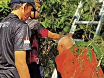 Semangat Mbah Marjo Memetik Asem tapi Malah Lupa Caranya Turun