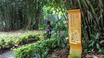Menikmati Sejuknya Kebun Raya Bogor di Tengah Hiruk Pikuk Kota
