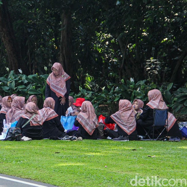 Menikmati Sejuknya Kebun Raya Bogor di Tengah Hiruk Pikuk Kota