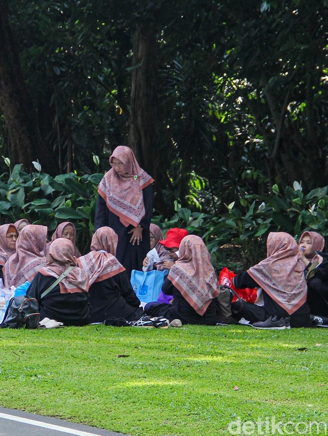Menikmati Sejuknya Kebun Raya Bogor di Tengah Hiruk Pikuk Kota