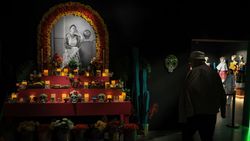 Menjelajahi Dunia Frida Kahlo Lewat Pameran Imersif di Athena