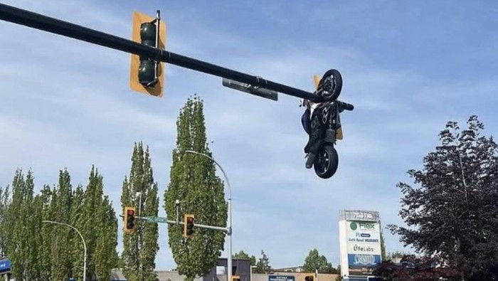 Moge nyangkut di tiang lampu lalu lintas