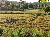 Pertamina Ingatkan Petani-Nelayan di Amfoang Urus Rekomendasi jika Beli BBM