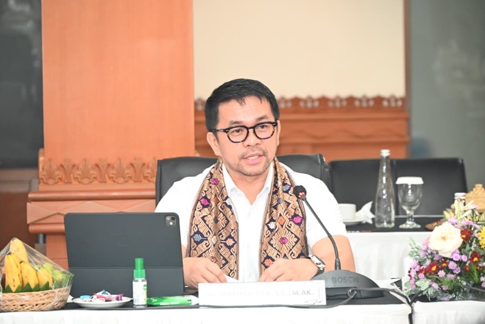 Anggota DPR RI Marinus Gea