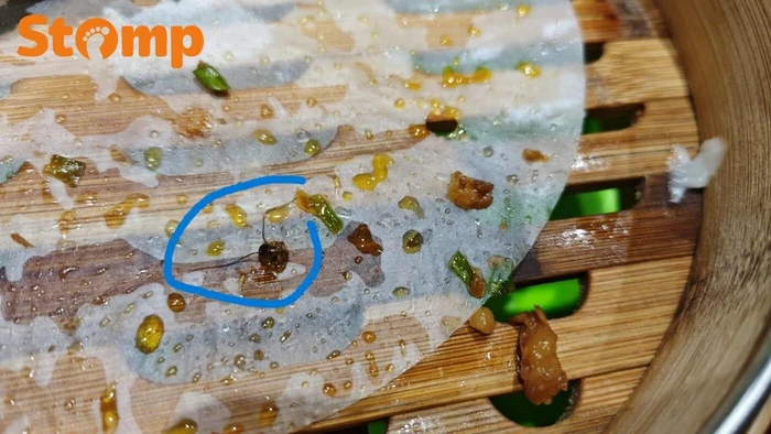 Jijik! Di dalam Bakpao Babi Ini Ada Isian Kepala Kecoak