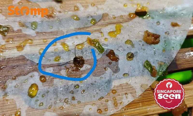 Jijik! Di dalam Bakpao Babi Ini Ada Isian Kepala Kecoak