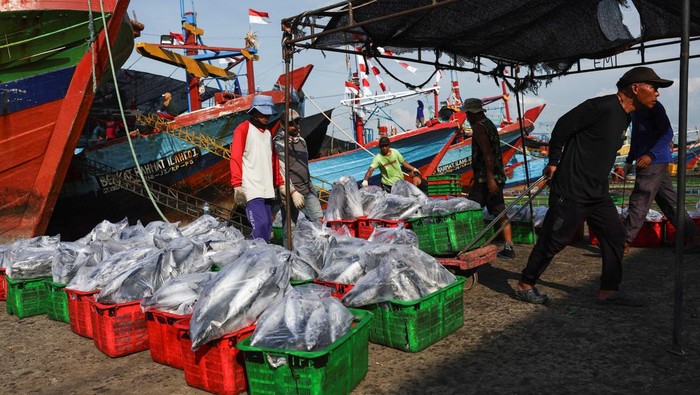 A drone view shows fishing boats docked at Juwana port, as rising diesel prices leave many vessels idle in Pati, Central Java province, Indonesia, May 9, 2026. REUTERS/Willy Kurniawan